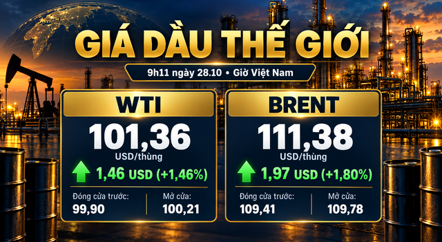 Gia-xang-dau-trua-28-10-2