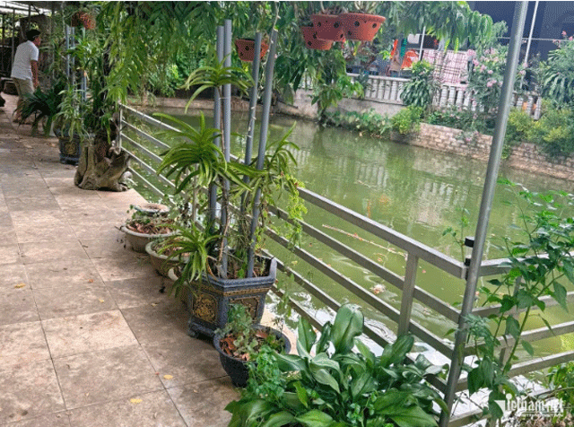Mat-3-nguoi-con-vi-duoi-nuoc-1