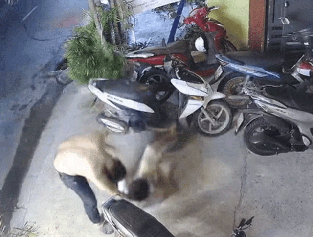 Nguoi-vo-vu-chong-bi-danh-liet-tu-chi-giam-dinh-thuong-tich-0-bat-khoc-ke-ve-hanh-trinh-giam-dinh-2-nam-qua-6