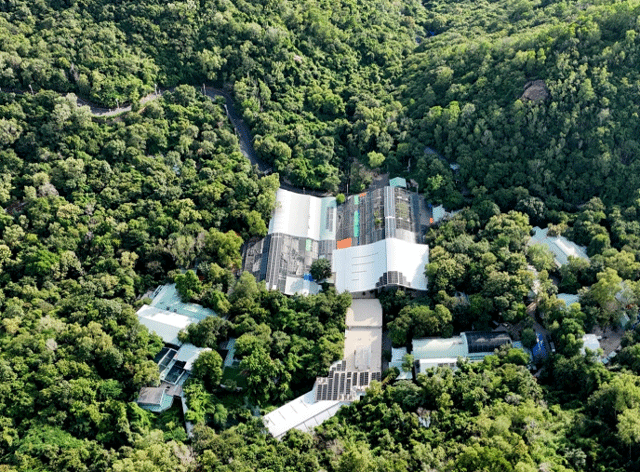 Ngon-goc-thuc-su-cua-hon-71-000m2-dat-ma-tru-tri-chua-phat-quang-dang-vuon-tranh-chap-2