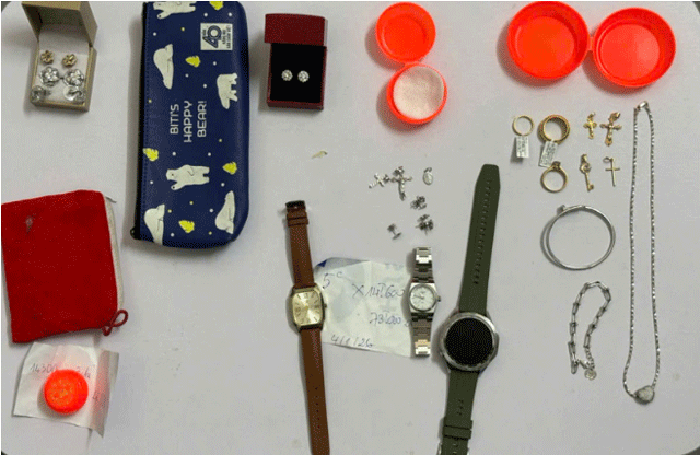 2-thanh-nien-dot-nhap-nha-dan-trom-10-cay-vang-3