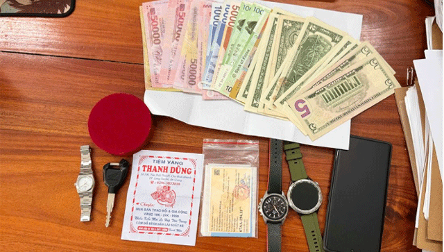 2-thanh-nien-dot-nhap-nha-dan-trom-10-cay-vang-4