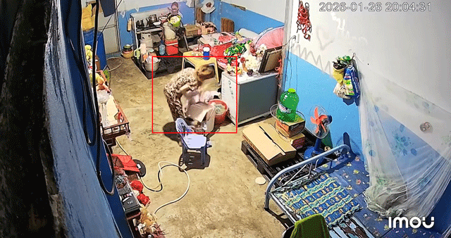 Nghi-con-gai-ruot-dung-chat-cam-bao-hanh-me-da-man-nuoi-con-nho-5-thang-tu-3kg-xuong-con-2kg-3