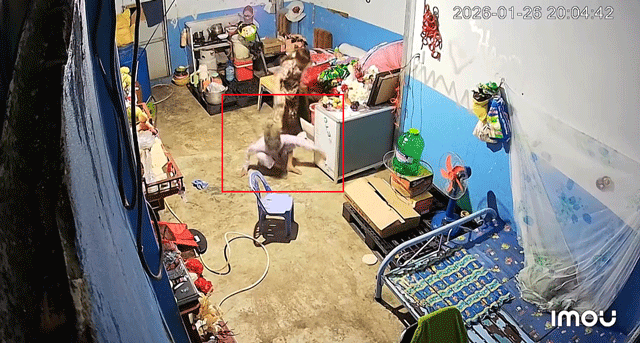 Nghi-con-gai-ruot-dung-chat-cam-bao-hanh-me-da-man-nuoi-con-nho-5-thang-tu-3kg-xuong-con-2kg-6