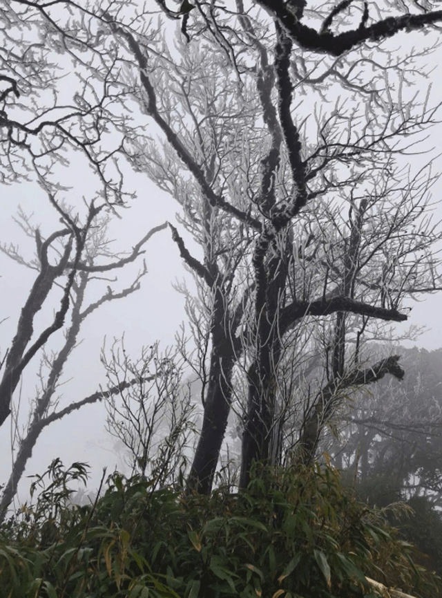 Thoi-tiet-mien-bac-nhieu-noi-ret-dam-co-noi-xuong-0-7-do-bang-gia-xuat-hien-o-cao-bang-3