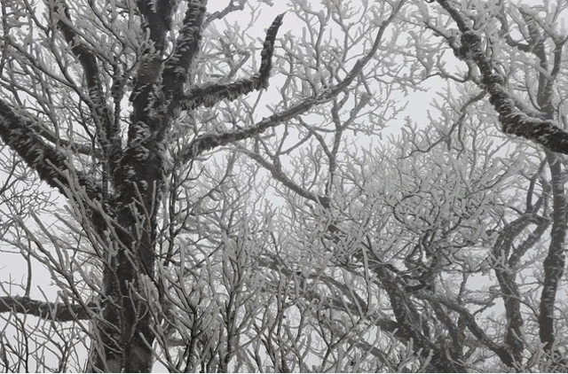 Thoi-tiet-mien-bac-nhieu-noi-ret-dam-co-noi-xuong-0-7-do-bang-gia-xuat-hien-o-cao-bang-4