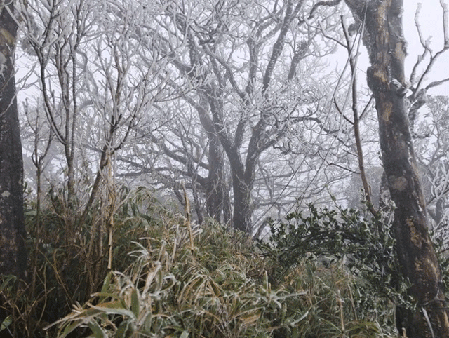 Thoi-tiet-mien-bac-nhieu-noi-ret-dam-co-noi-xuong-0-7-do-bang-gia-xuat-hien-o-cao-bang-6