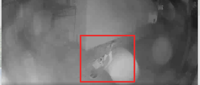 Buc-xuc-nguyen-nhan-quan-ly-quan-karoke-bat-ngo-lao-ra-hanh-hung-da-man-nguoi-phu-nu-di-bo-the-duc-2