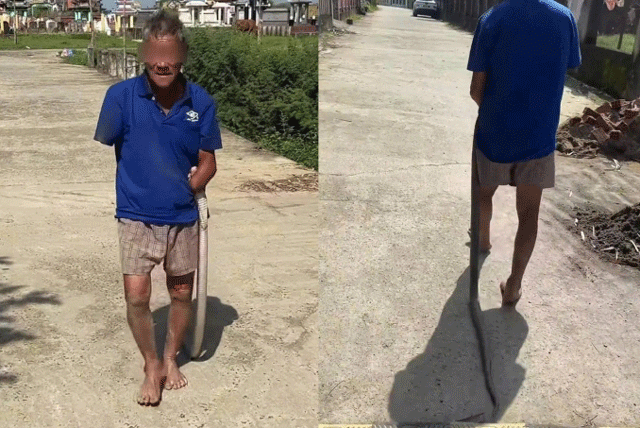 Cu-ong-cut-2-tay-bat-ran-ho-mang-2