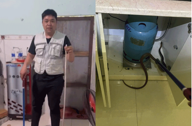 Cu-ong-cut-2-tay-bat-ran-ho-mang-4