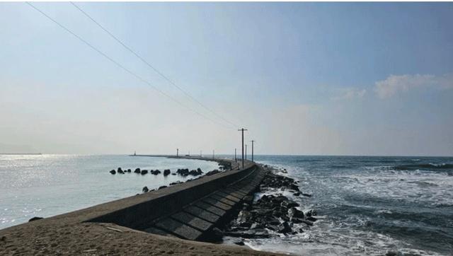 4-lao-dong-viet-tu-vong-mat-tich-o-nhat-ban-1