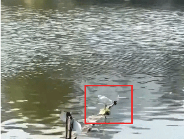 Thanh-nien-dung-na-cao-su-ban-soc-4