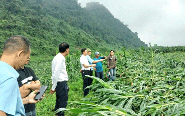 Loc-xoay-o-quang-tri-2