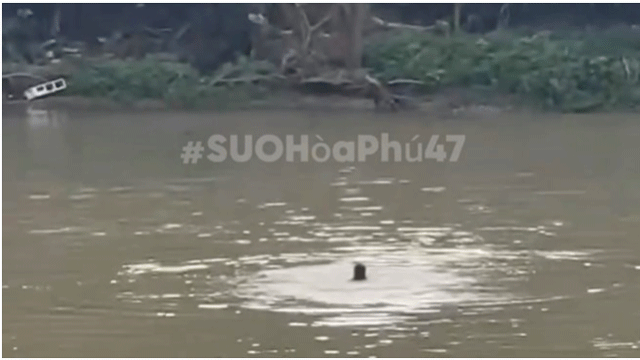 Nam-thanh-nien-lam-dieu-dai-dot-2