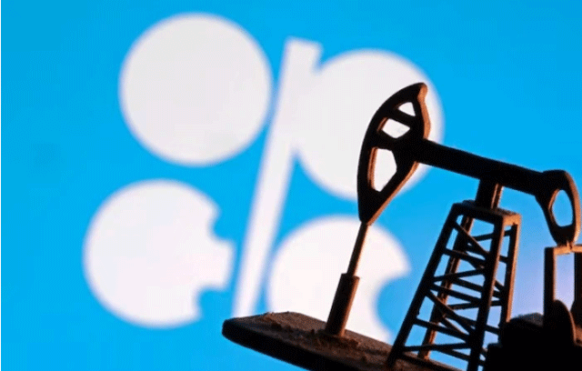 Ly-do-gia-dau-hom-nay-tang-4