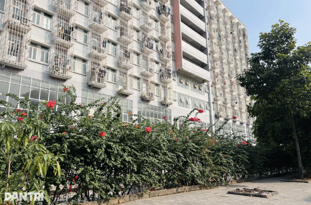 Nu-sinh-roi-tu-tren-cao-xuong-1