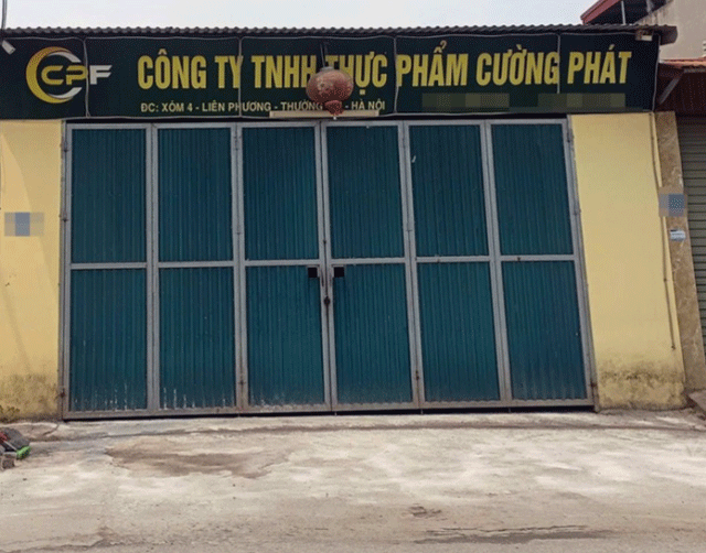 Cong-ty-cuong-phat-4