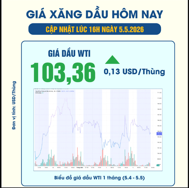 Gia-xang-dau-chieu-5-5-1