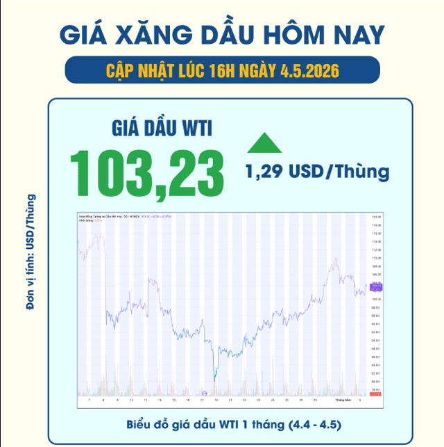 Gia-xang-dau-chieu-4-5