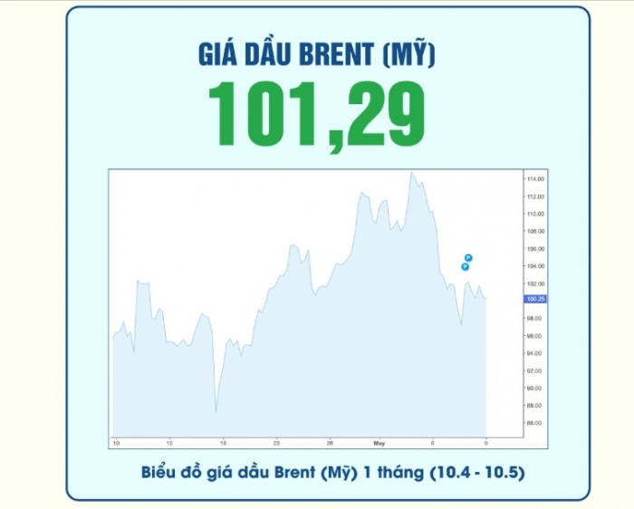 gia-xang-10-5