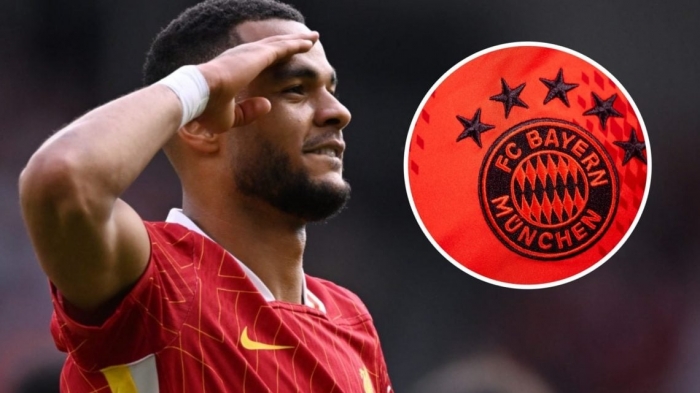 gakpo bayern