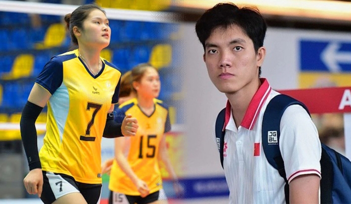 lo-dien-ung-vien-thay-the-bich-tuyen