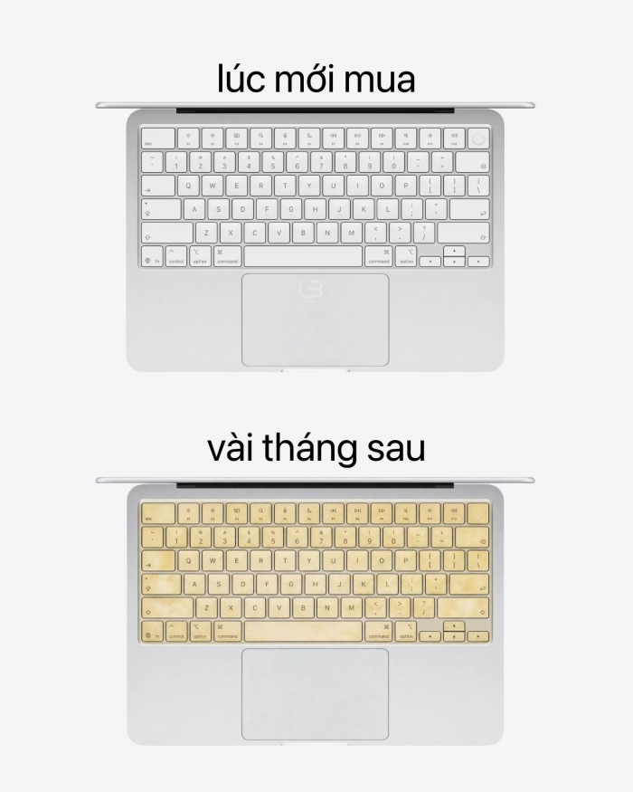 646521205_935169355559124_294546