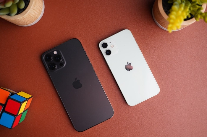 test-iphone-12-mini-vs-pro-max