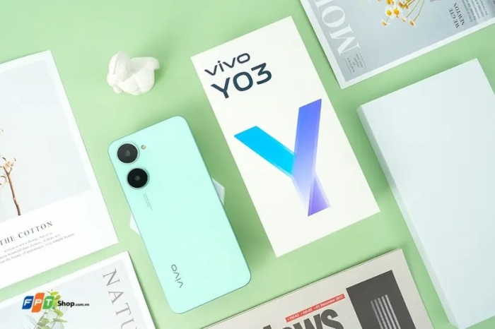 2024_3_29_638473245396479522_Viv