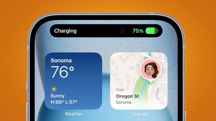 dynamic-island-17520314139122169