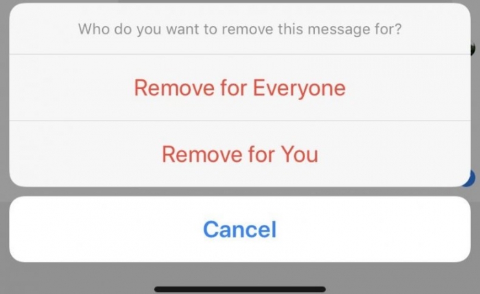 remove-message-everyone