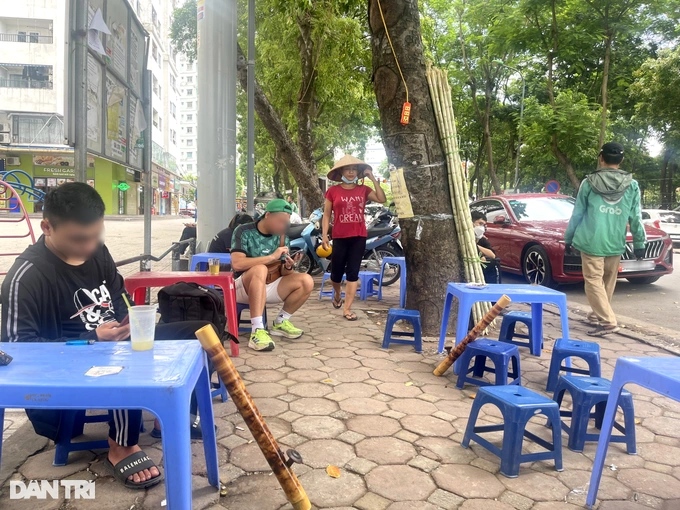 Ha-noi-ban-tra-da-via-he-thu-nhap-trung-binh-khoang-50-trieu-dong-thang-6