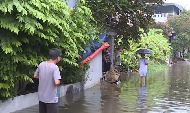 Thuc-hu-tin-don-vo-de-o-thanh-hoa-gay-ngap-sau-3