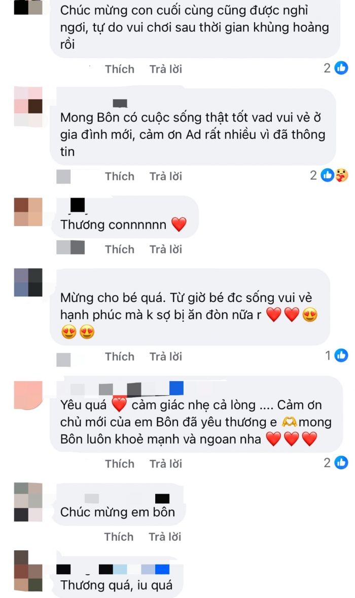 Netizen-vui-mung-khi-chu-cho-bon-bi-danh-dap-o-da-lat-vua-duoc-mot-gia-dinh-chuoc-ve-nuoi-1