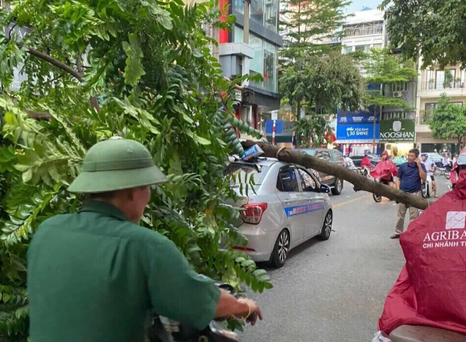 Ha-noi-truoc-khi-bao-so-3-do-bo-nhieu-cay-gay-do-mot-nguoi-tu-vong-tai-cho-7