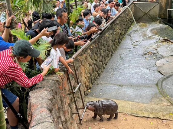 Chu-ha-ma-lun-noi-danh-sau-man-du-doan-xuat-than-viec-ong-donald-trump-tai-dac-cu-4