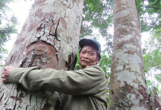 Mot-ho-dan-o-quang-binh-co-hang-nghin-cay-thuoc-loai-go-quy-hang-dau-o-viet-nam-gia-25-trieu-m3-mot-muc-tu-choi-ban