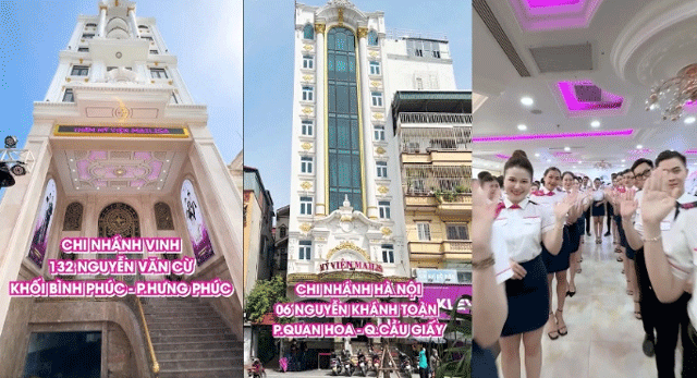 Thong-tin-ve-nhung-cong-ty-vo-chong-mailisa-dung-ten-he-lo-tinh-hinh-kinh-doanh-cua-chuoi-tham-my-mailisa-6