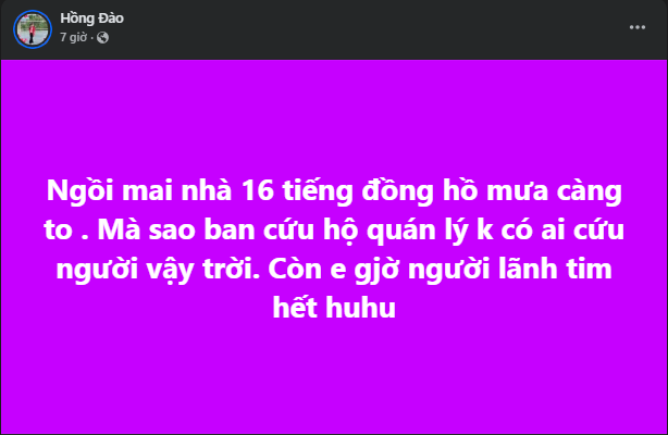 Ly-do-3-me-con-mac-ket-tren-noc-nha-o-dak-lak-van-chua-duoc-cuu-chong-kievstream-khau-cau-tro-giup-5
