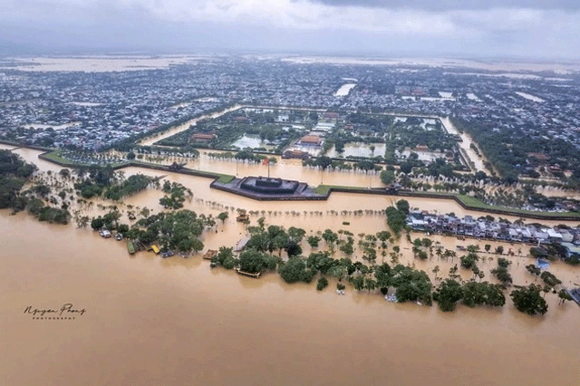 Vu-phat-hien-thi-the-co-gai-17-tuoi-mac-tren-canh-cay-xe-long-khi-biet-nguyen-nhan-tu-vong-3