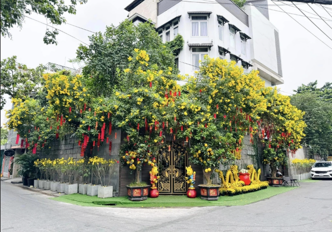 Cdm-mia-mai-khi-biet-ly-do-thuc-su-khien-dam-vinh-hung-rao-ban-biet-thu-trieu-do-gan-bo-nhieu-nam-8
