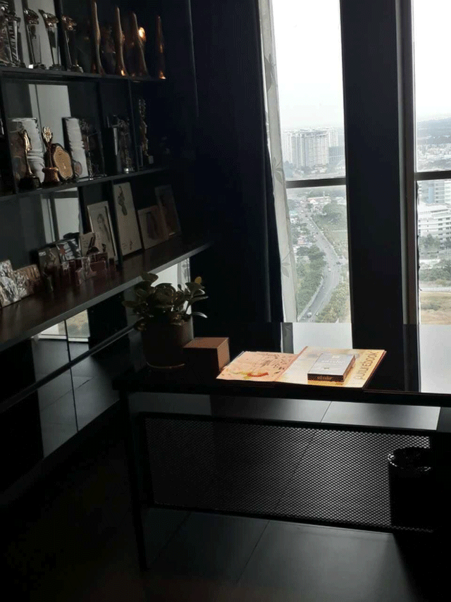 Hoang-thuy-linh-giau-co-nao-biet-thu-sang-trong-o-tam-dao-va-can-penthouse-2-tang-400m2-o-tphcm-9