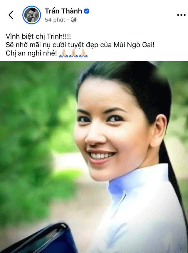 Tran-thanh-hung-bao-chi-trich-tu-antifan-nguyen-nhan-lien-quan-den-bai-dang-ve-dien-vien-ngoc-trinh