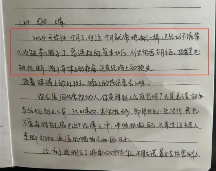 rung-dong-vu-nu-y-ta-bi-ban-trai-cat-co-tu-vong-ngay-tren-oto-he-lo-noi-dung-cuon-nhat-ky-gay-am-anh-2