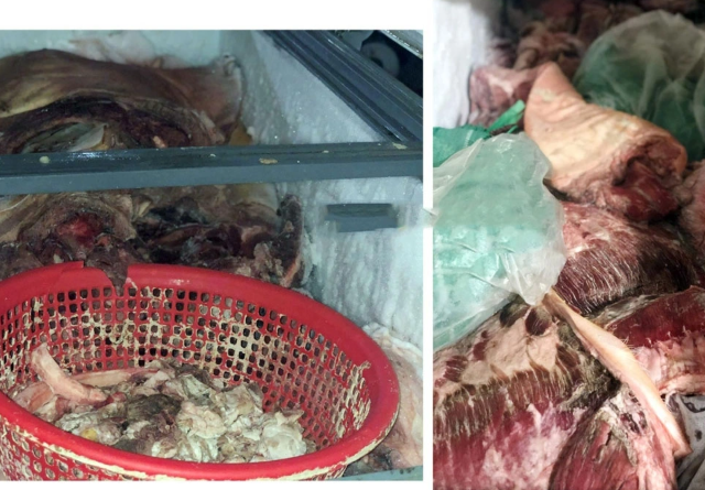 Binh-phuoc-tieu-huy-gan-800kg-thit-heo-oi-thiu-nhiem-dich-ta-lon-chau-phi-khong-ro-nguon-goc-3
