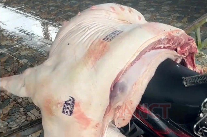 danh-tinh-3-can-bo-bi-khoi-to-bat-tam-giam-vi-dong-dau-kiem-dich-thit-heo-nhiem-dich-ta-chau-phi