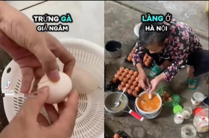 thuc-hu-thong-tin-xuat-hien-trung-ga-gia-o-nuoc-ta-gia-thanh-tai-cac-trang-trai-gay-xon-xao