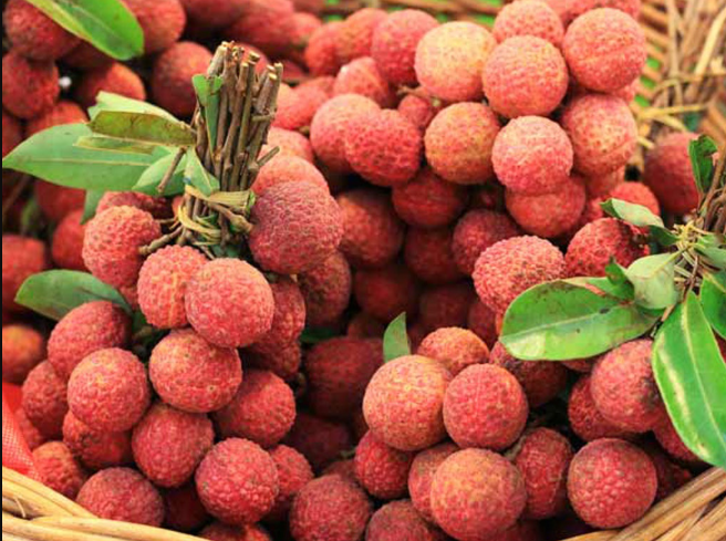 Moi-ngay-tre-em-va-nguoi-lon-duoc-an-toi-da-bao-nhieu-qua-vai-de-tranh-ha-duong-huyet-cap-tinh-2