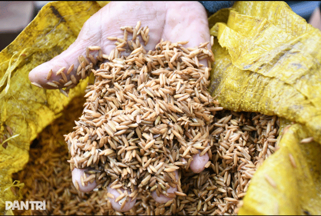 Tieng-khoc-xe-long-cua-nhieu-ho-dan-sau-khi-lu-rut-nha-cua-tan-hoang-tai-san-khong-con-gi-4