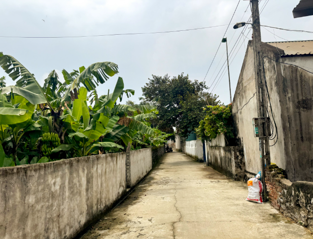 Vu-be-gai-8-tuoi-bi-anh-ho-sat-hai-o-thanh-hoa-ban-be-va-gia-dinh-tiet-lo-tinh-cach-that-cua-nghi-pham-4